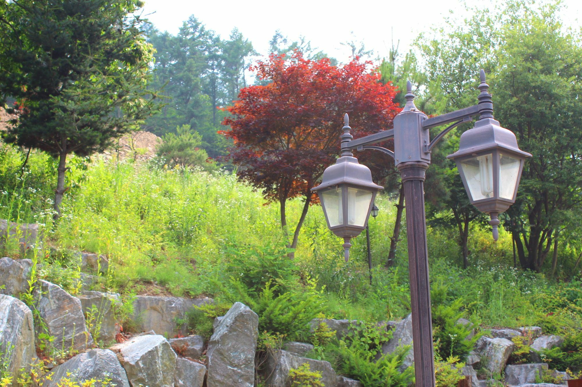 Time Story Yangpyeong Exterior foto